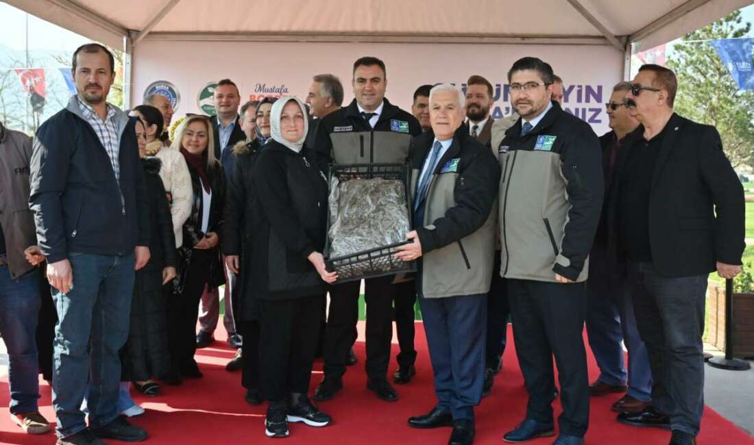 Bursa'daki çilek üretiminin daha