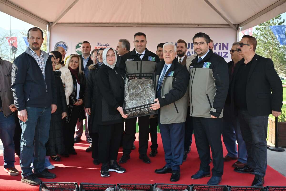 Bursa’da Çiftçiye 1 milyon 222 bin çilek fidesi hibe edildi