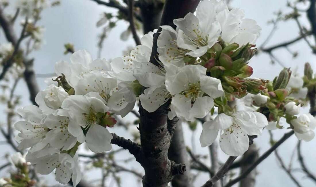 Türkiye'nin en kaliteli ihracatlık