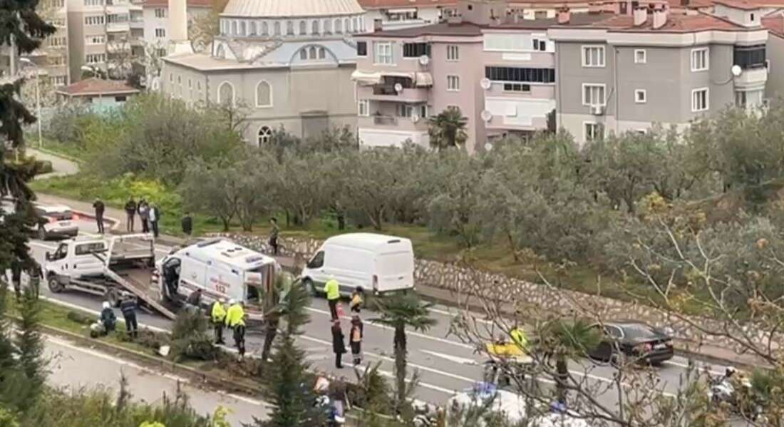 Bursa’da vaka yetiştirmek üzere