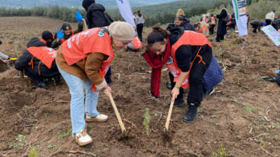Bursa, 10 bin yeni fidanla geleceğe nefes oluyor