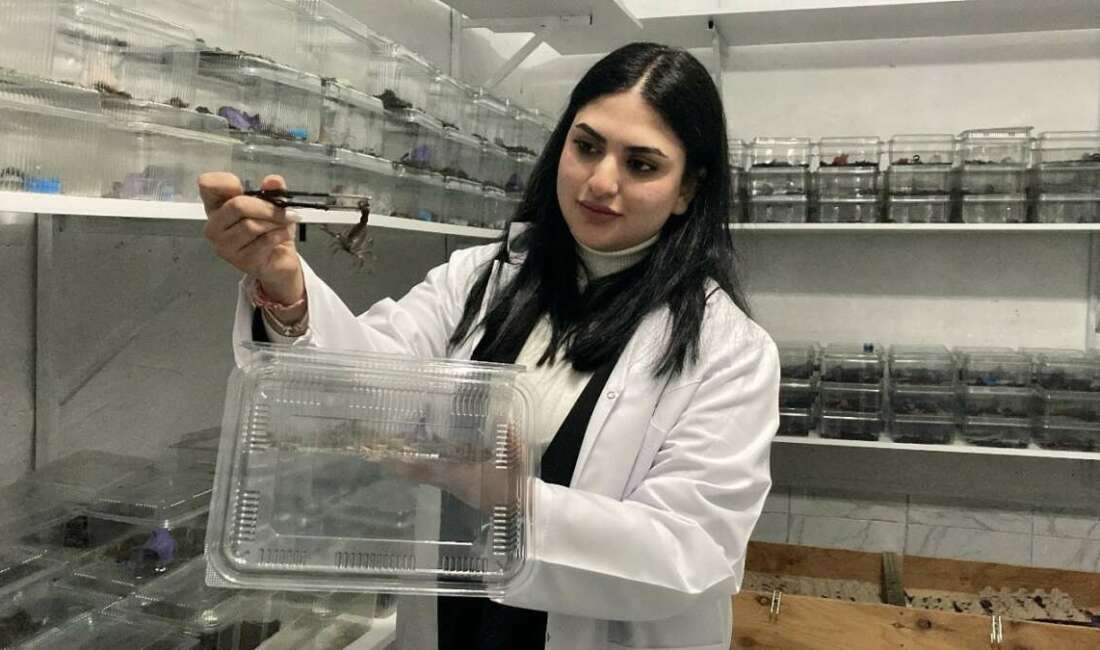 Ankara'da yaşayan 18 yaşındaki