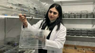 Kadın girişimci 3 bin adet mavi akrep yetiştiriyor