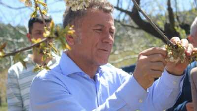 Uludağ’ın güneyi dondu