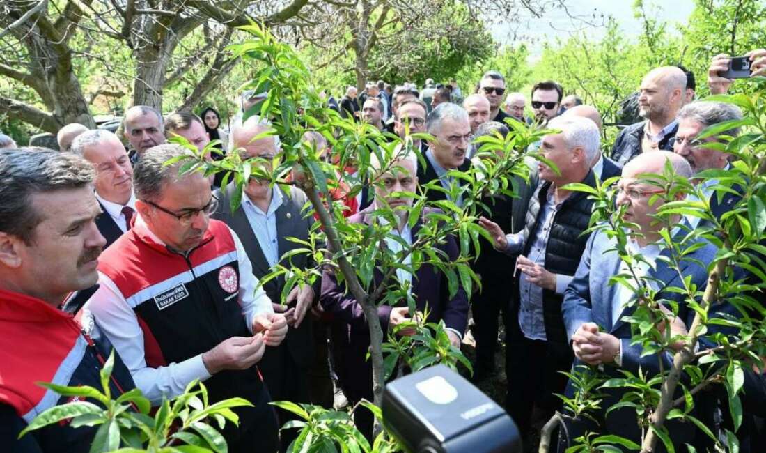 Bakan Yardımcısı Gümen: “Bazı yerlerde yüzde 10, bazı yerlerde ise yüzde 100 hasar oranı var”