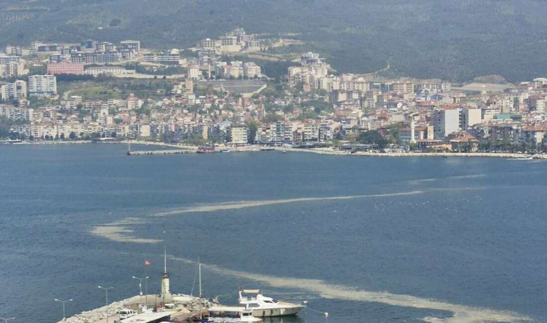 Mudanya sahilinde görülen müsilaj tedirgin etti Bursa'nın Gemlik Körfezi'nde geçtiğimiz
