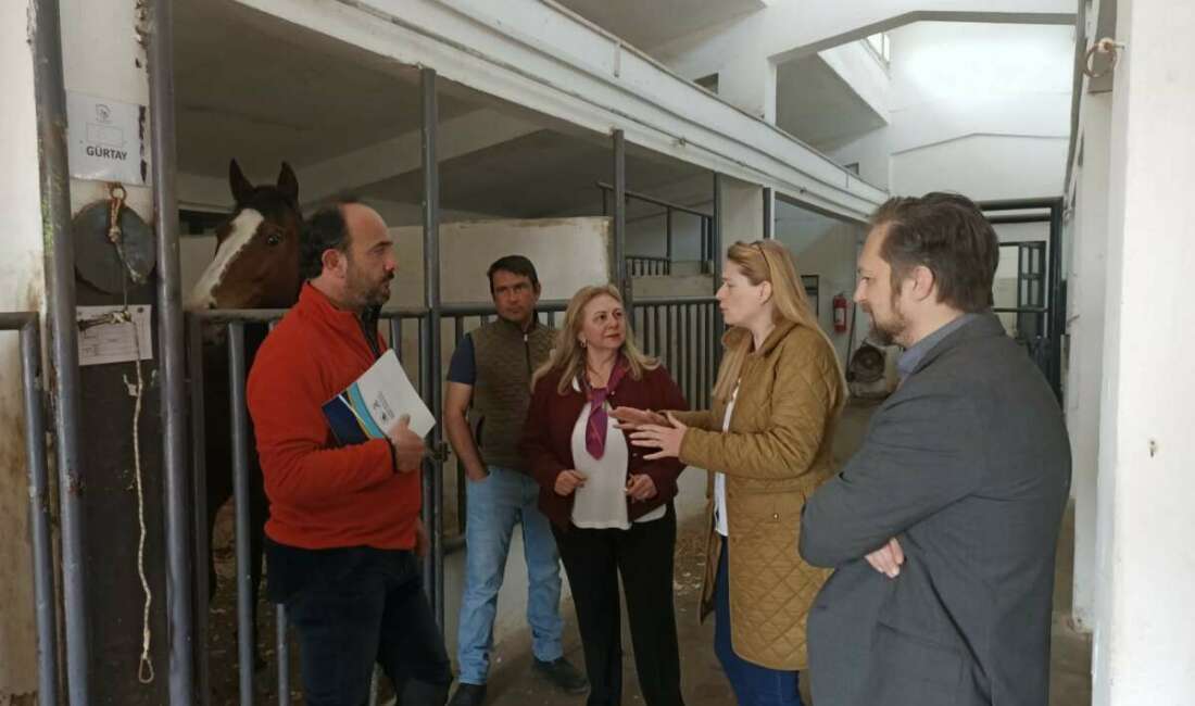 Bursa Uludağ Üniversitesi (BUÜ) Mennan