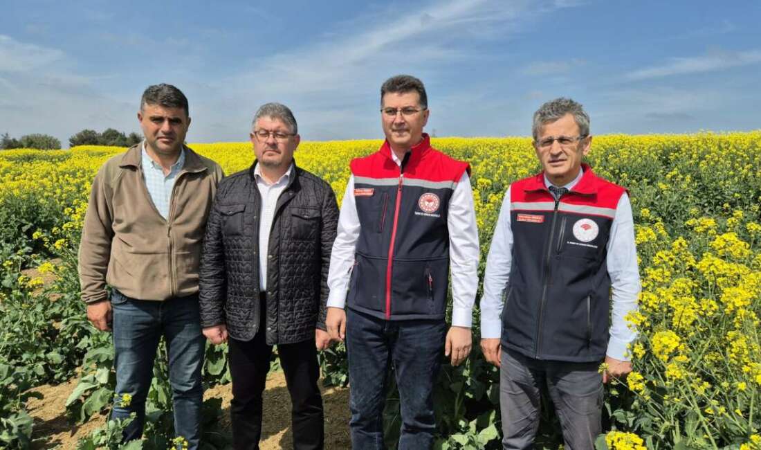 Tekirdağ Tarım ve Orman