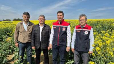 Tekirdağ İl Tarım Müdürü: “Arılar ölürse, hayat da durur”