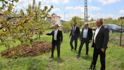 Büyükşehir’den zirai don mağduru çiftçiye destek