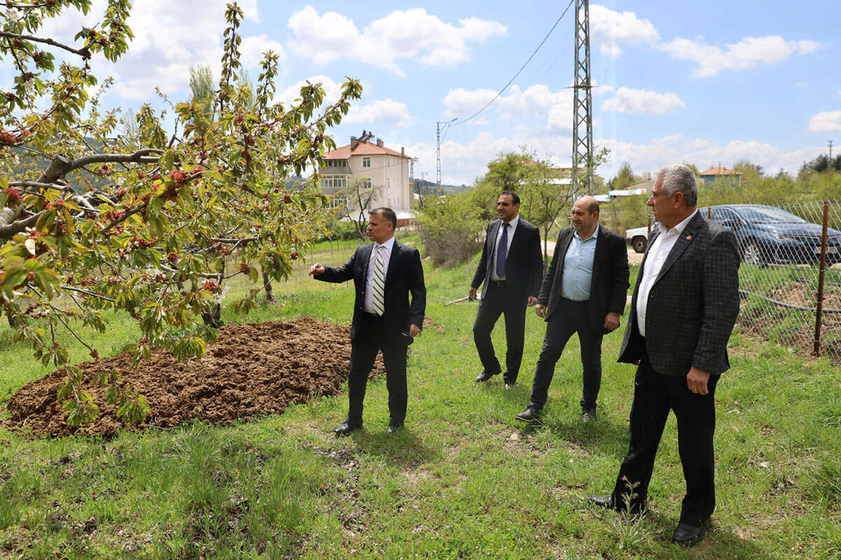 Büyükşehir’den zirai don mağduru çiftçiye destek