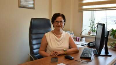 Sivrisinek ısırığı ile gelen tehlike