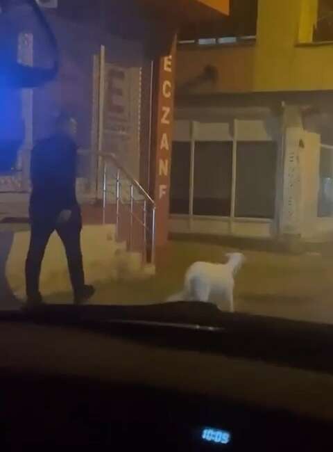 Bursa'da bir vatandaş, eğittiği