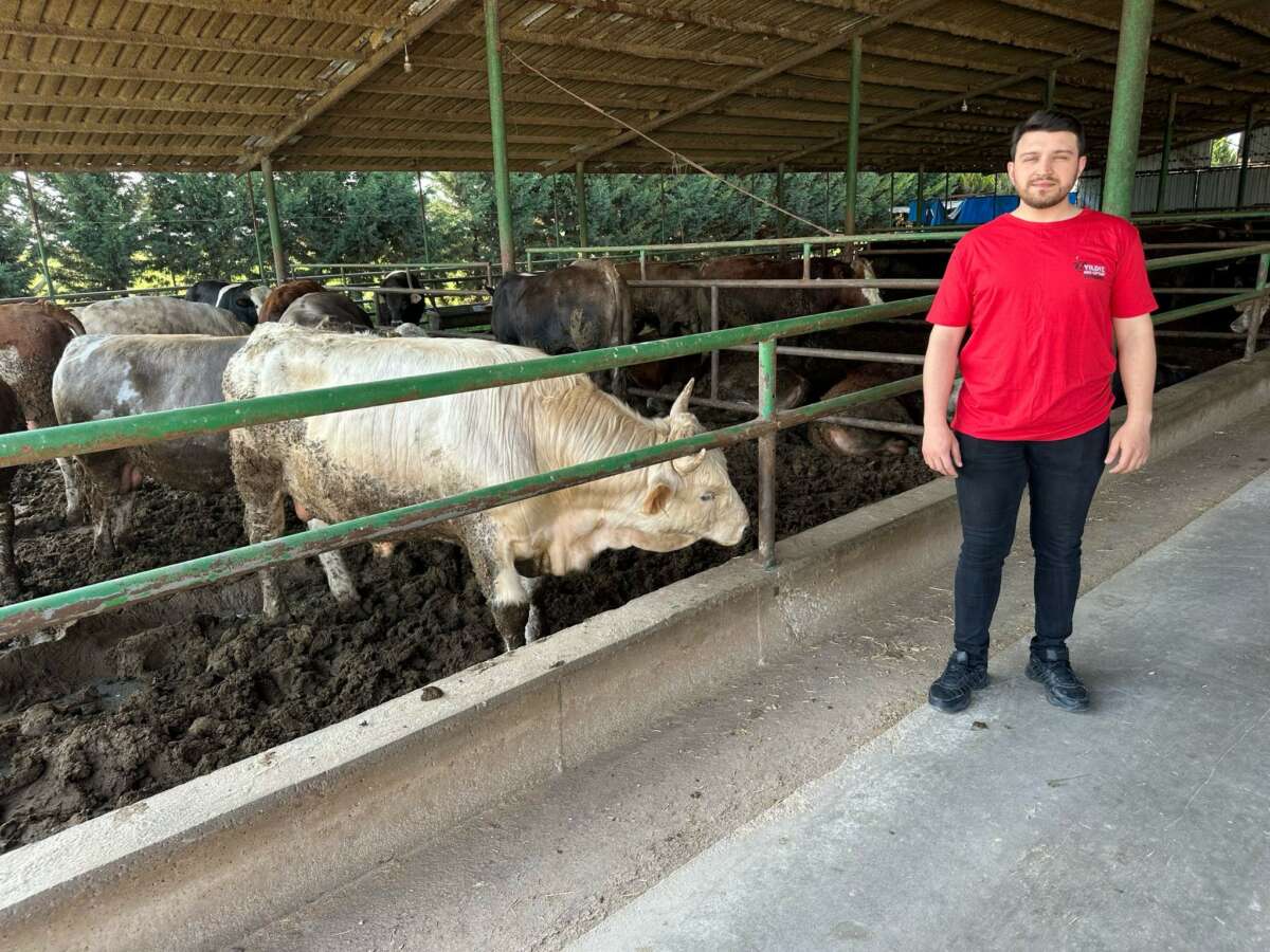 Kurbanlık fiyatları bu yıl da geçen yıla yakın seyrediyor