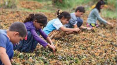 Milli Eğitim Bakanlığı (MEB), eğitimde