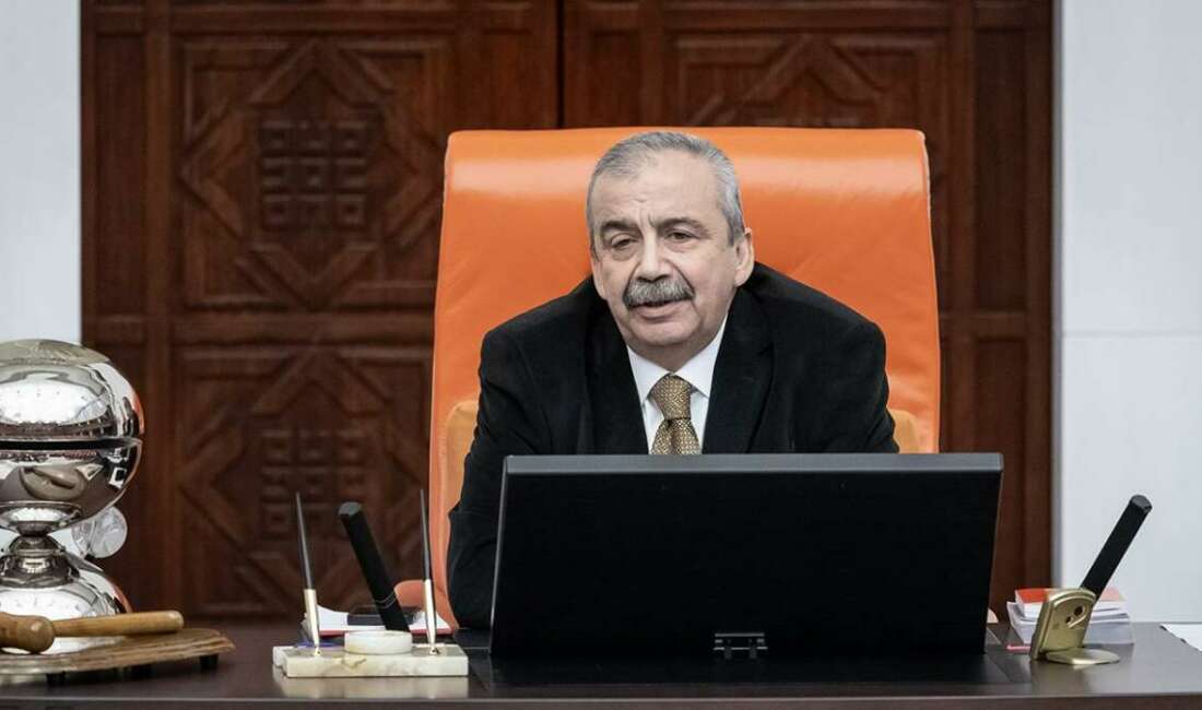 TBMM Başkanvekili ve DEM