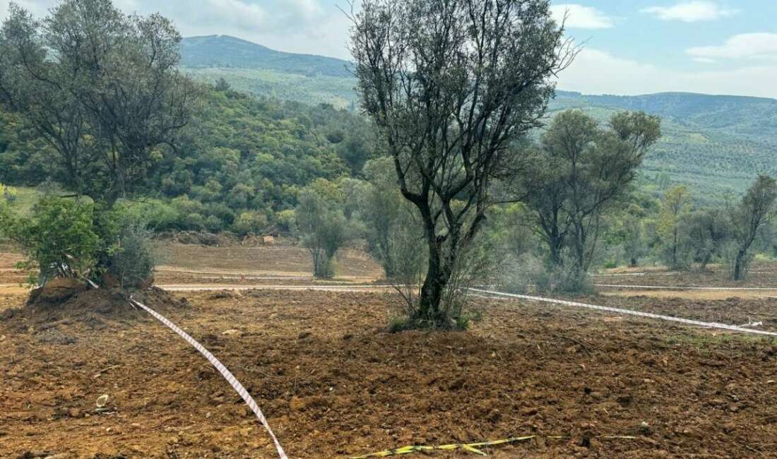 Tarım arazilerinizi koruyun, hisseli