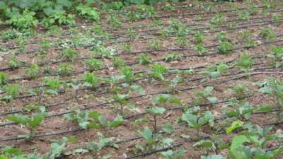  Tarımsal sulamada “kamu spotu” önerisi