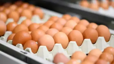Yumurta fiyatları düştü, ihracat için fon kesintisi kaldırılsın