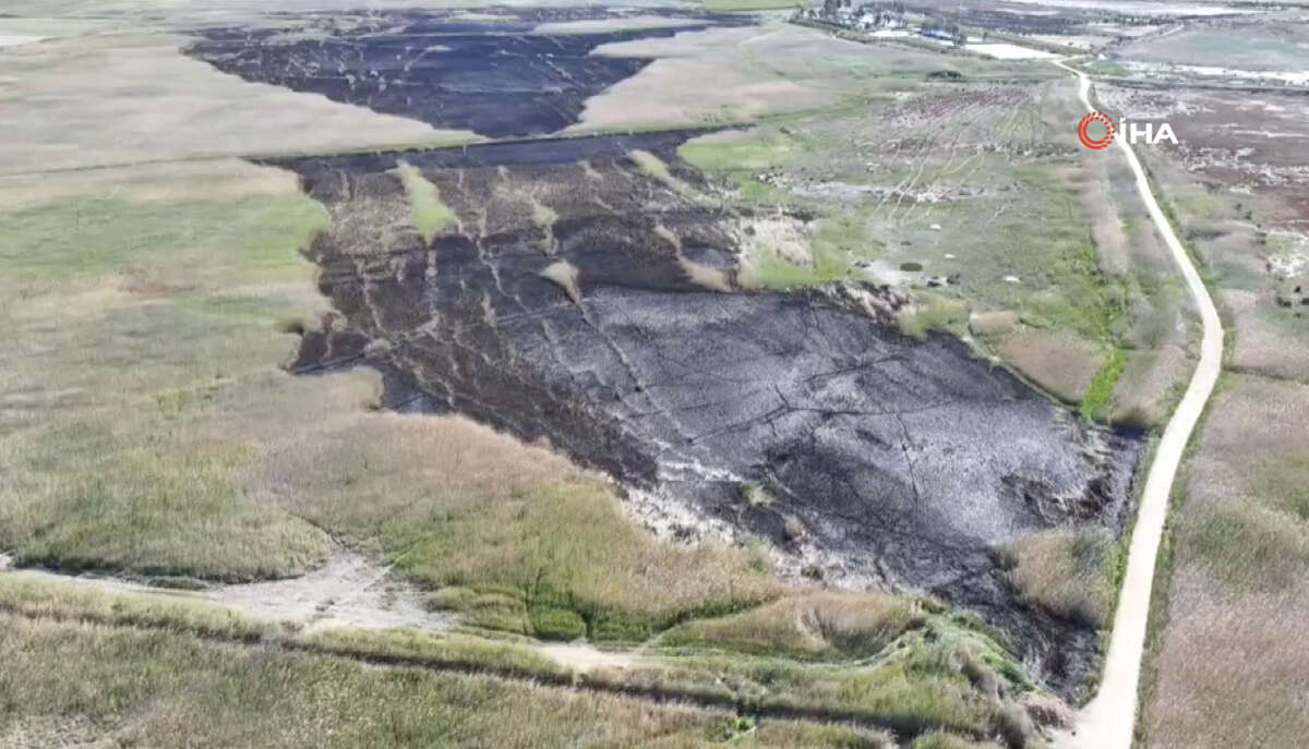Kuş cenneti Göksu Deltası, yangın sonrası böyle görüntülendi