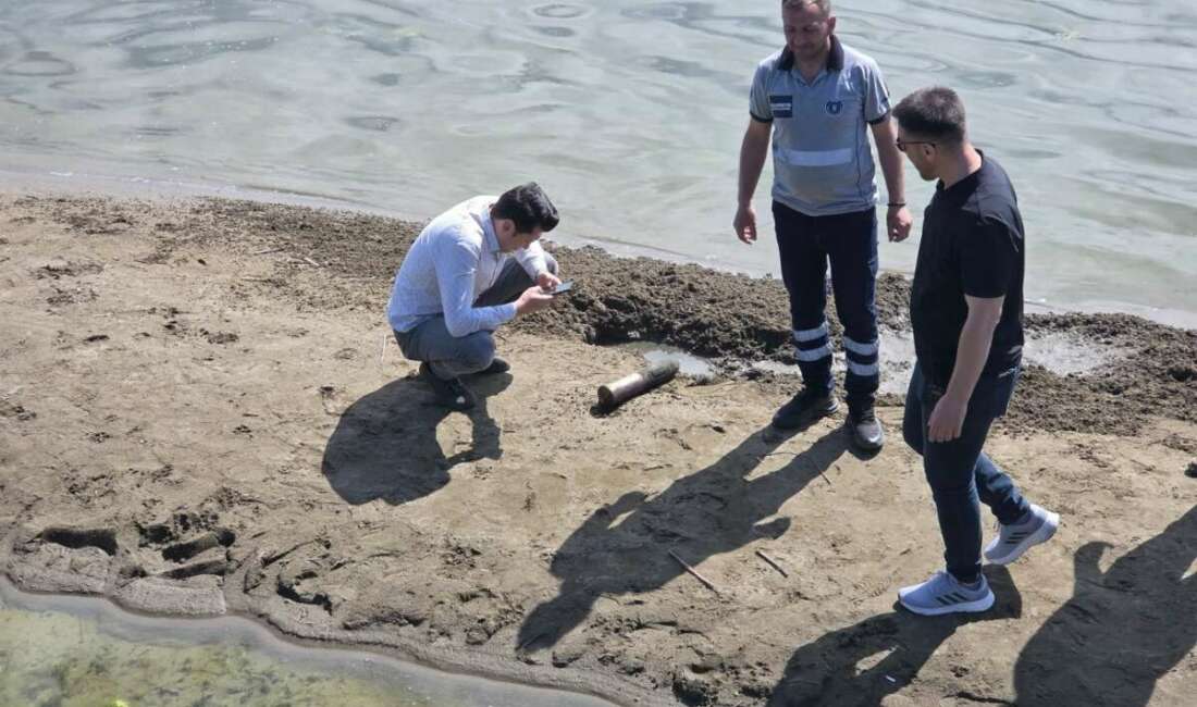 İznik Gölü Orhangazi sahilinde