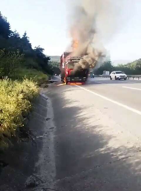 Bursa'nın Gemlik ilçesinde seyir
