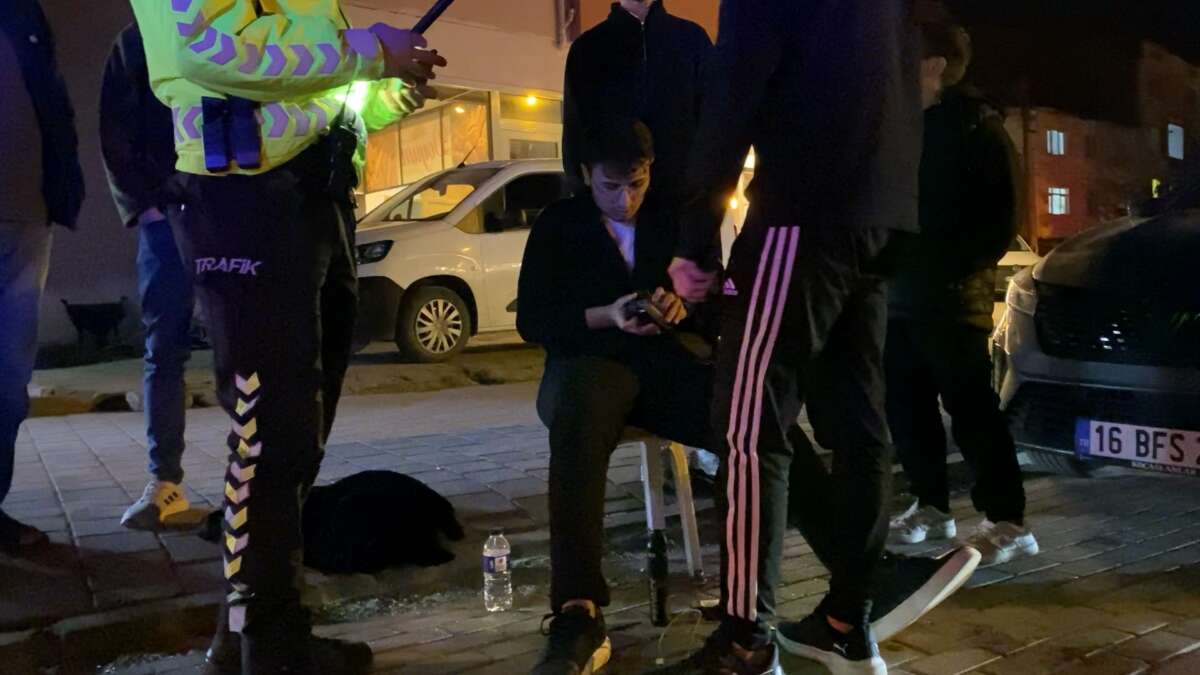 Direğe çarpan araçta 2 kişi yaralandı