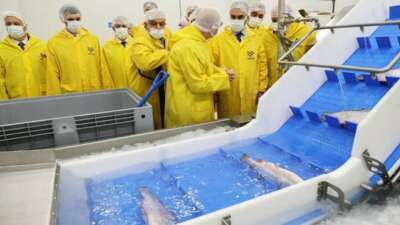 Bakan Kacır, bölgenin lokomotifi olacak su ürünleri işleme tesisini gezdi