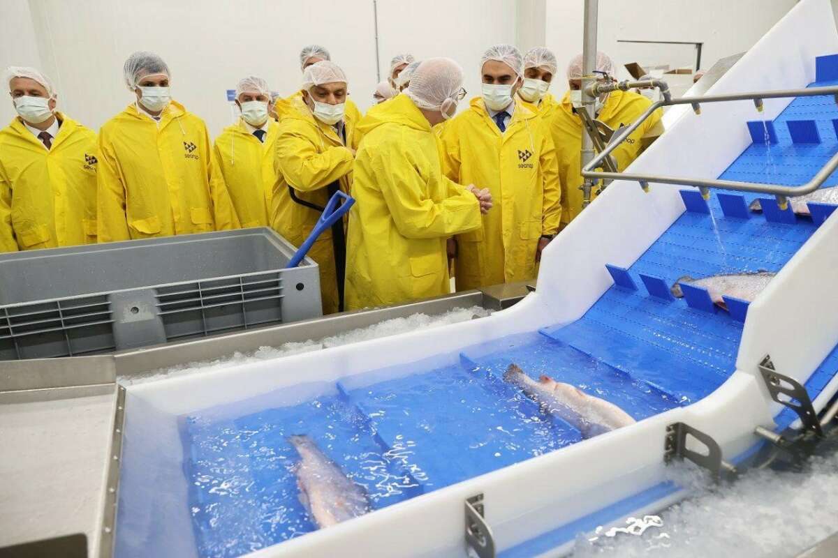 Bakan Kacır, bölgenin lokomotifi olacak su ürünleri işleme tesisini gezdi