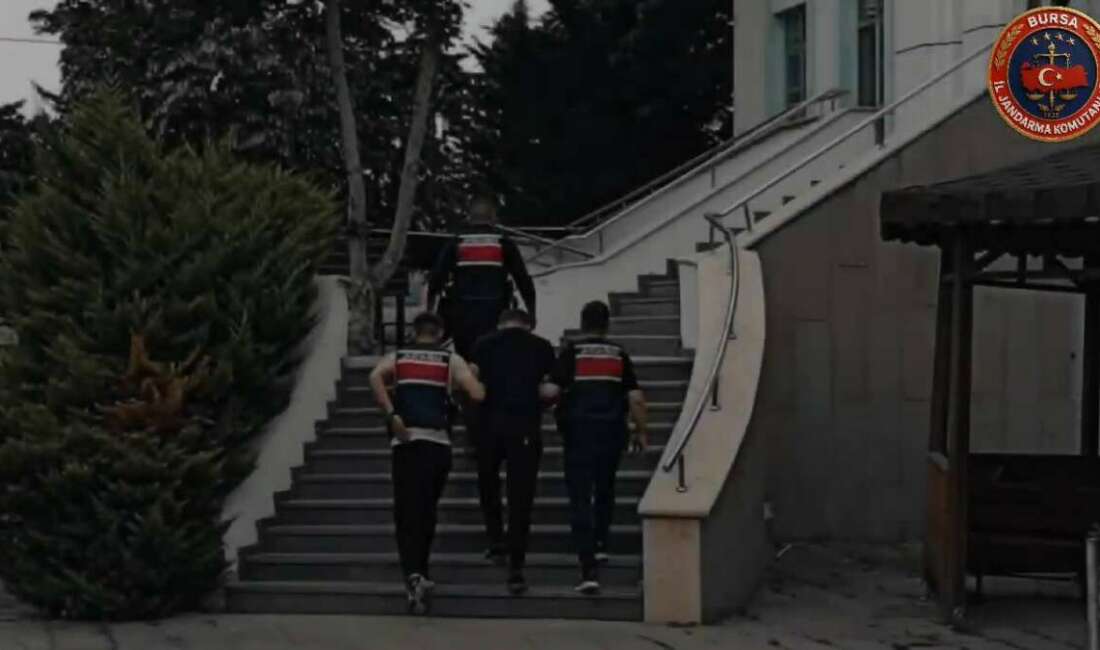 Bursa'nın İznik ilçesinde, hakkında
