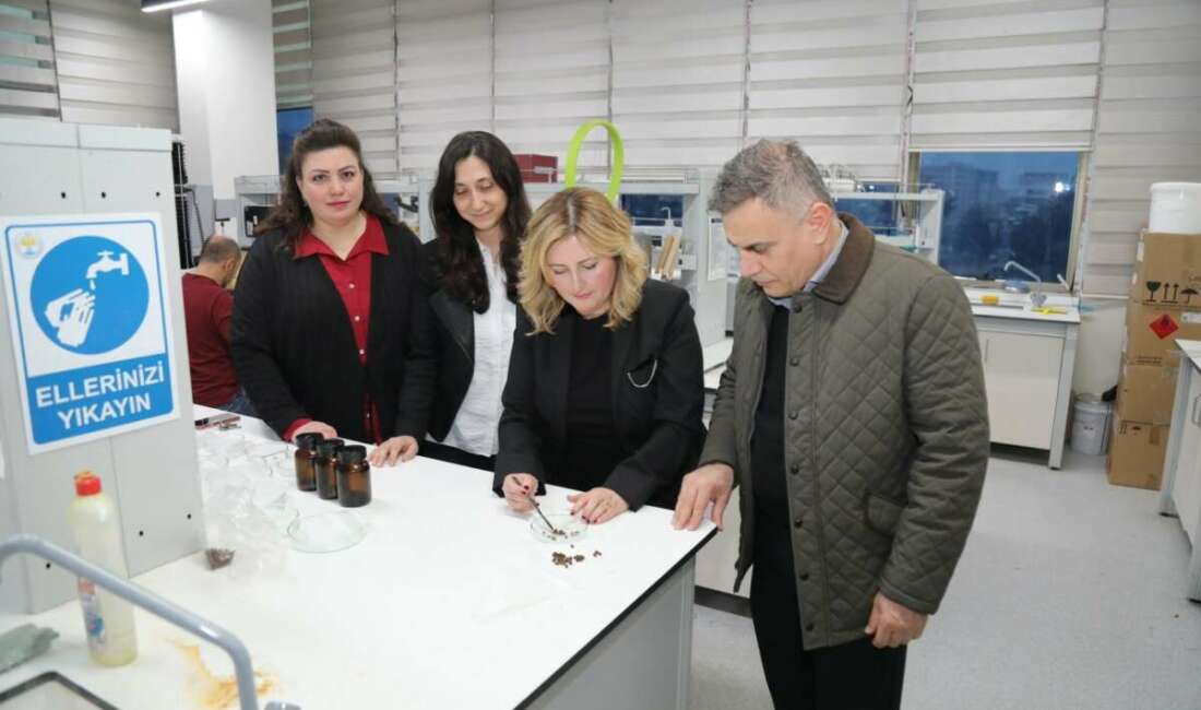 Bursa Teknik Üniversitesi (BTÜ)