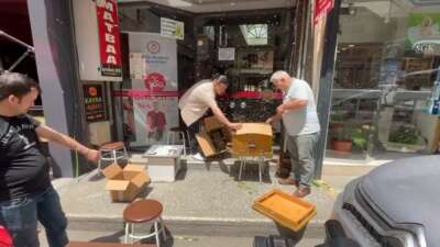 Binlerce arı iş merkezini bastı