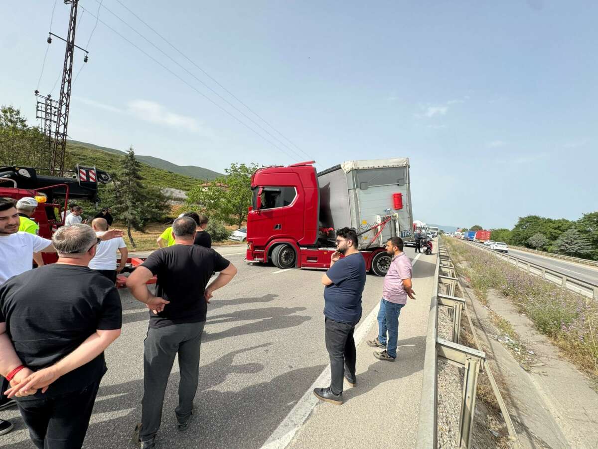 Bir arının yaptığına bak…Yüzlerce kişiyi mağdur etti