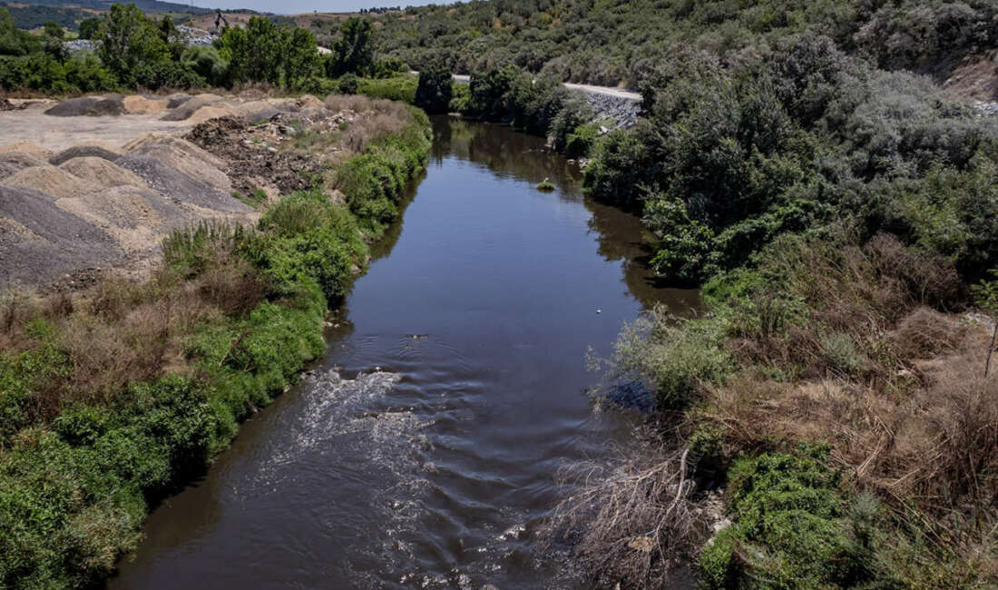 Bursa Büyükşehir Belediye Başkanı Mustafa