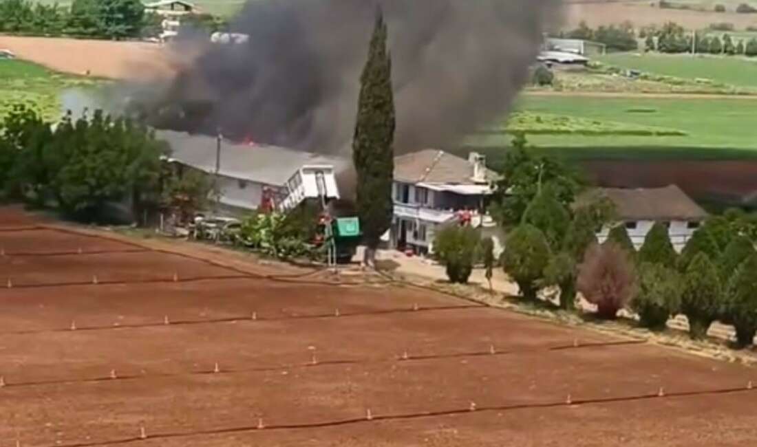 Bursa Yenişehir’de hayvan çiftliğinde büyük yangın Bursa'nın Yenişehir ilçesinde bulunan