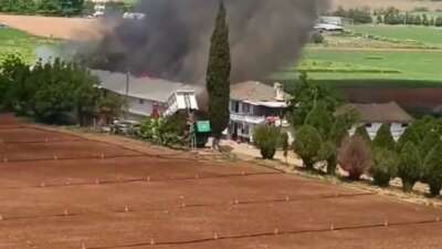 Bursa'nın Yenişehir ilçesinde bulunan canlı