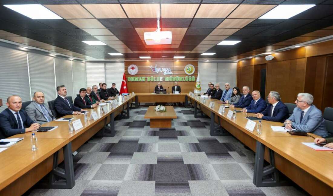 Bursa, orman yangınlarına karşı teyakkuza geçti Bursa Valisi Erol Ayyıldız, Bursa Orman Bölge