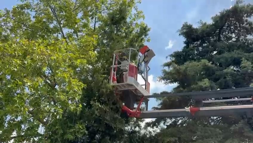 Bursa’da kedilerin imdadına itfaiye yetişti