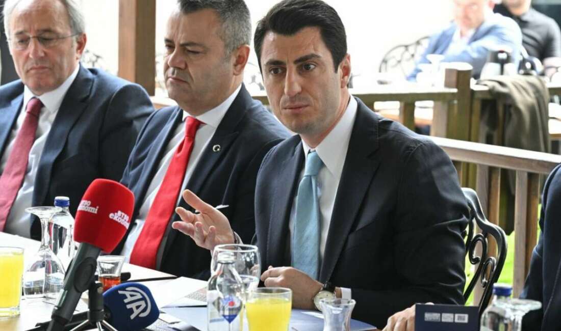 Milli Eğitim Bakan Yardımcısı