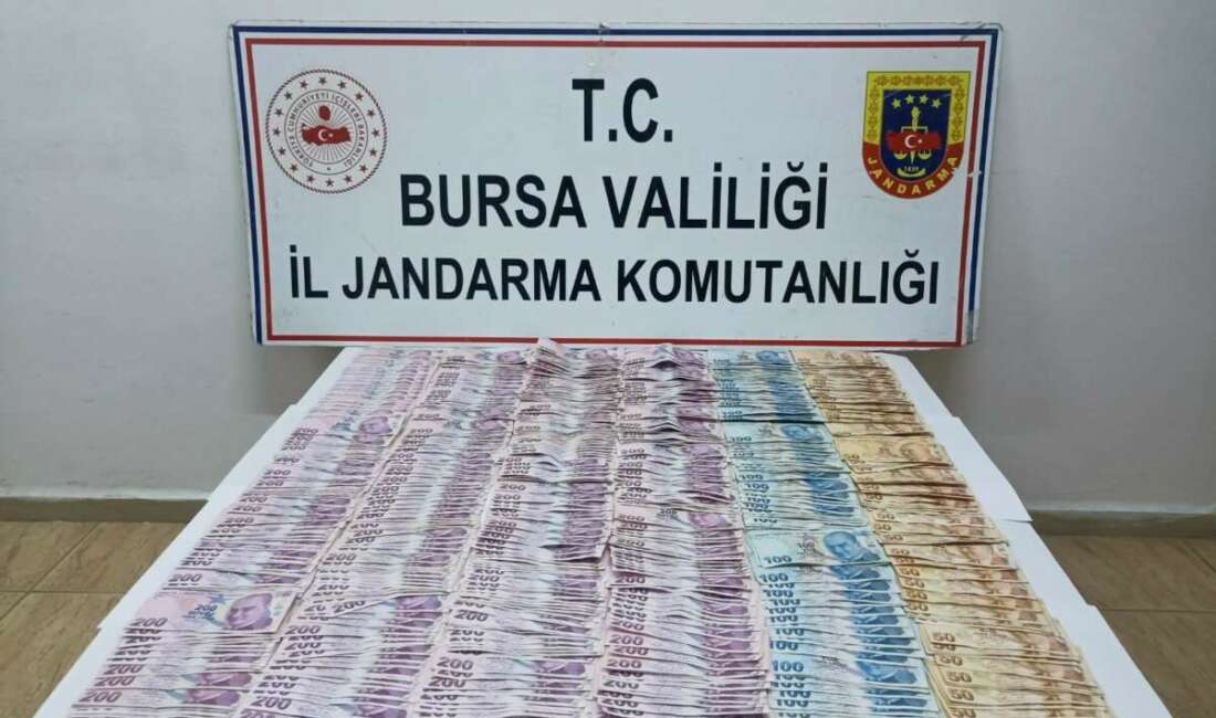 Bursa’nın Yenişehir ilçesinde kendilerini