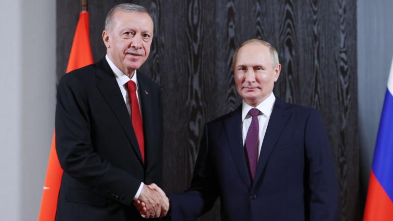 Rusya Devlet Başkanı Vladimir