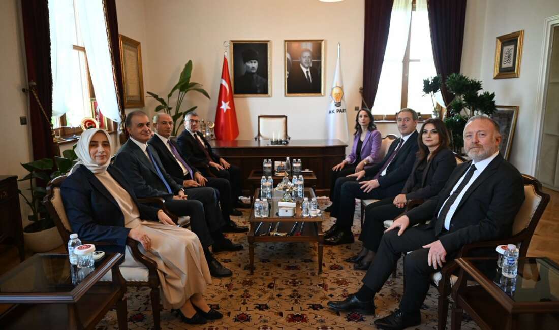 DEM Parti heyeti, siyasi