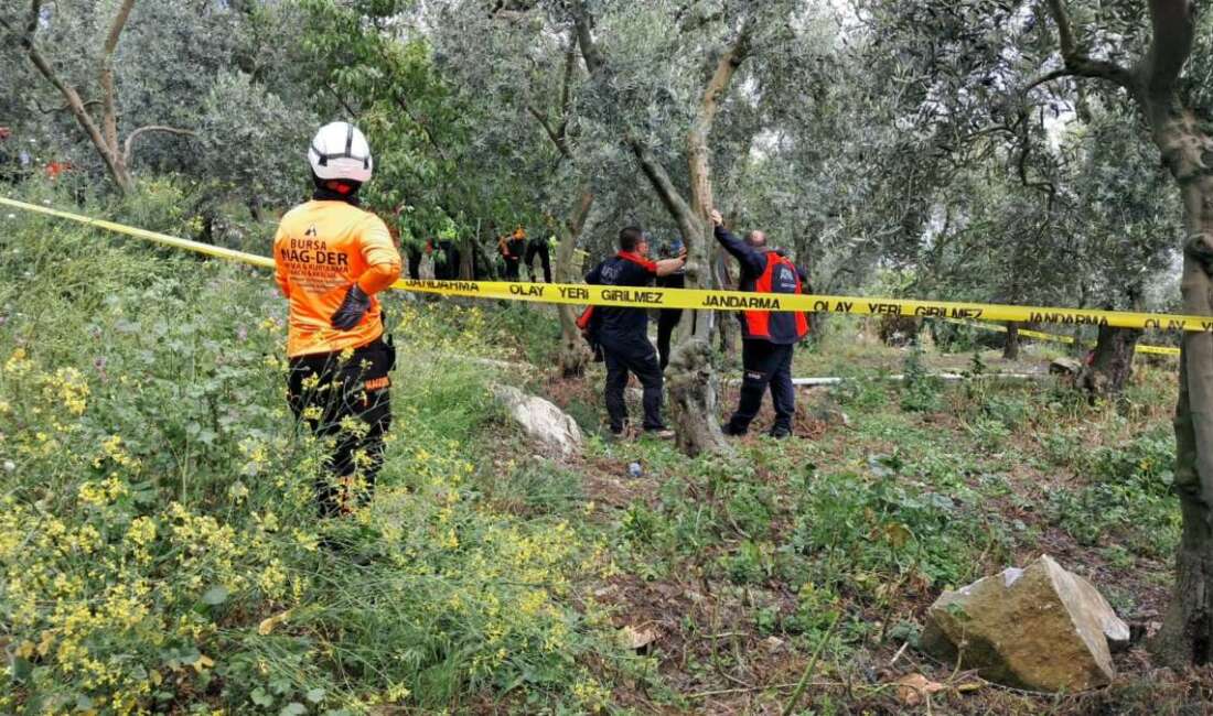 Emekli öğretmen zeytinlikte asılı halde bulundu Bursa'nın İznik ilçesinde dün