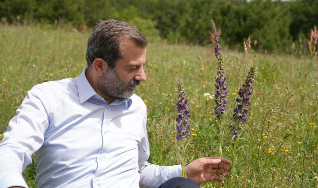 Gürsu’ya özgü ve endemik