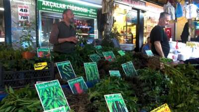 Hem ekonomik hem de organik…Fide tezgahları hareketlendi