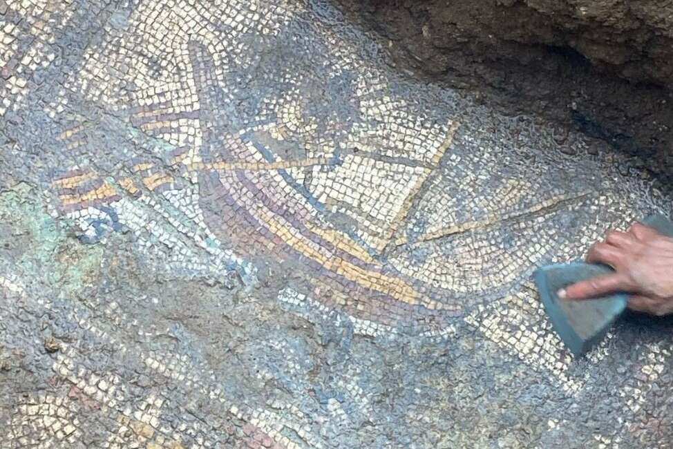 Papa 14. Leo'nun ziyaret