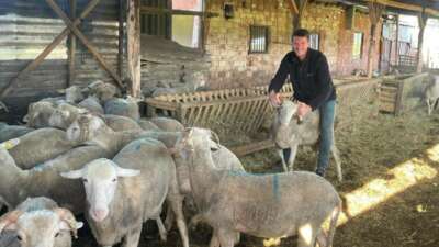 Kurbanlıkları satıp kazancıyla Temmuz ayında evlenecek