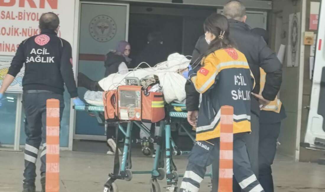 Kurduğu köstebek tabancasının patlaması ile hayatını kaybetti Bursa'nın İnegöl ilçesinde köstebek