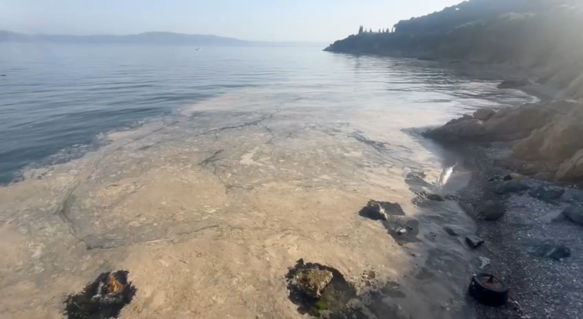 Bursa'nın Gemlik Körfezi'nde her