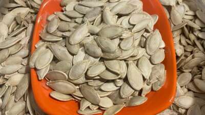 Kabak çekirdeğine “Salmonella”, zencefile “Bacillus cereus” nasıl bulaşıyor